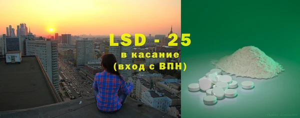 прущие грибы Армянск