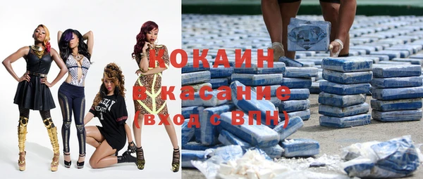 прущие грибы Армянск